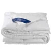 De Witte Lietaer Dekbed Ducky - Hotelmaat - 260 X 240 Cm - Donsvulling 1 De Witte Lietaer Dekbed Ducky - Hotelmaat - 260 X 240 Cm - Donsvulling -Meubel Verkoop 1607299189