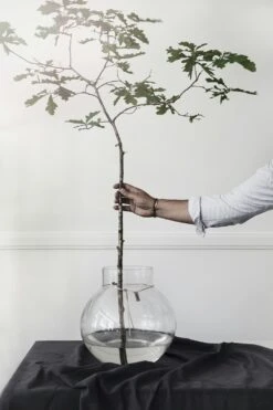 Ernst Glazen Vaas Doorzichtig, 38 Cm -Meubel Verkoop ernst glass vase clear 13