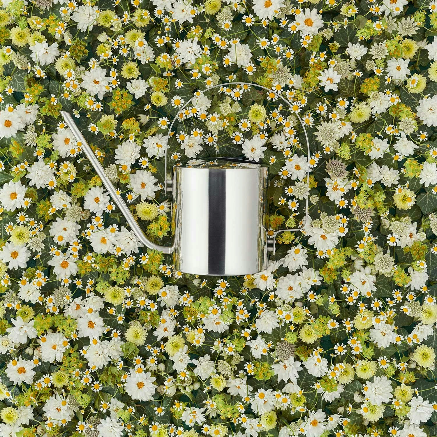 Stelton Original Flower Gieter, 1,7 L 5 Stelton Original Flower Gieter, 1,7 L - Image 3